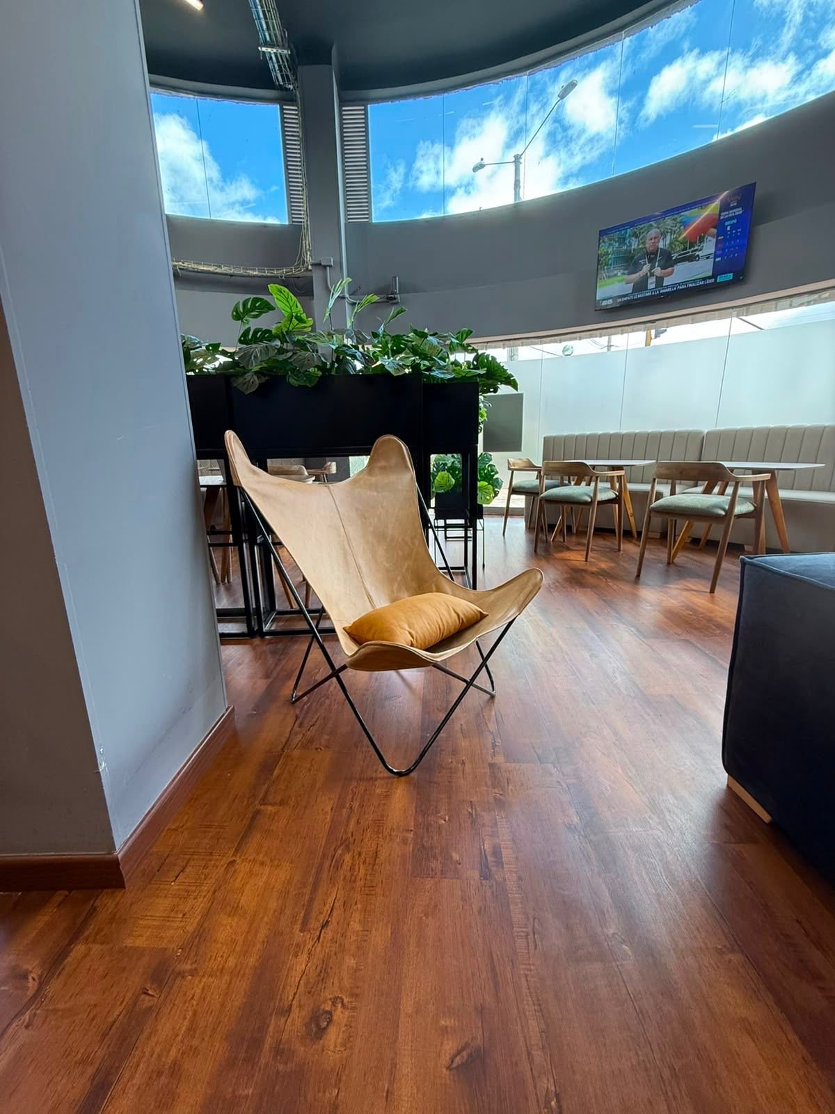 Rincón con plantas y luz natural en el coworking